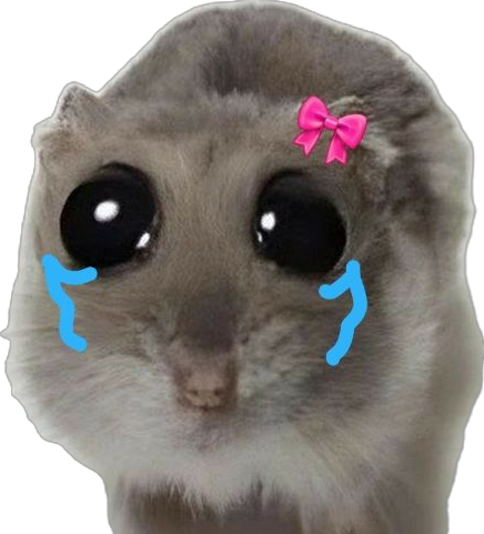 Sad hamster asking to open the site on a MacBook